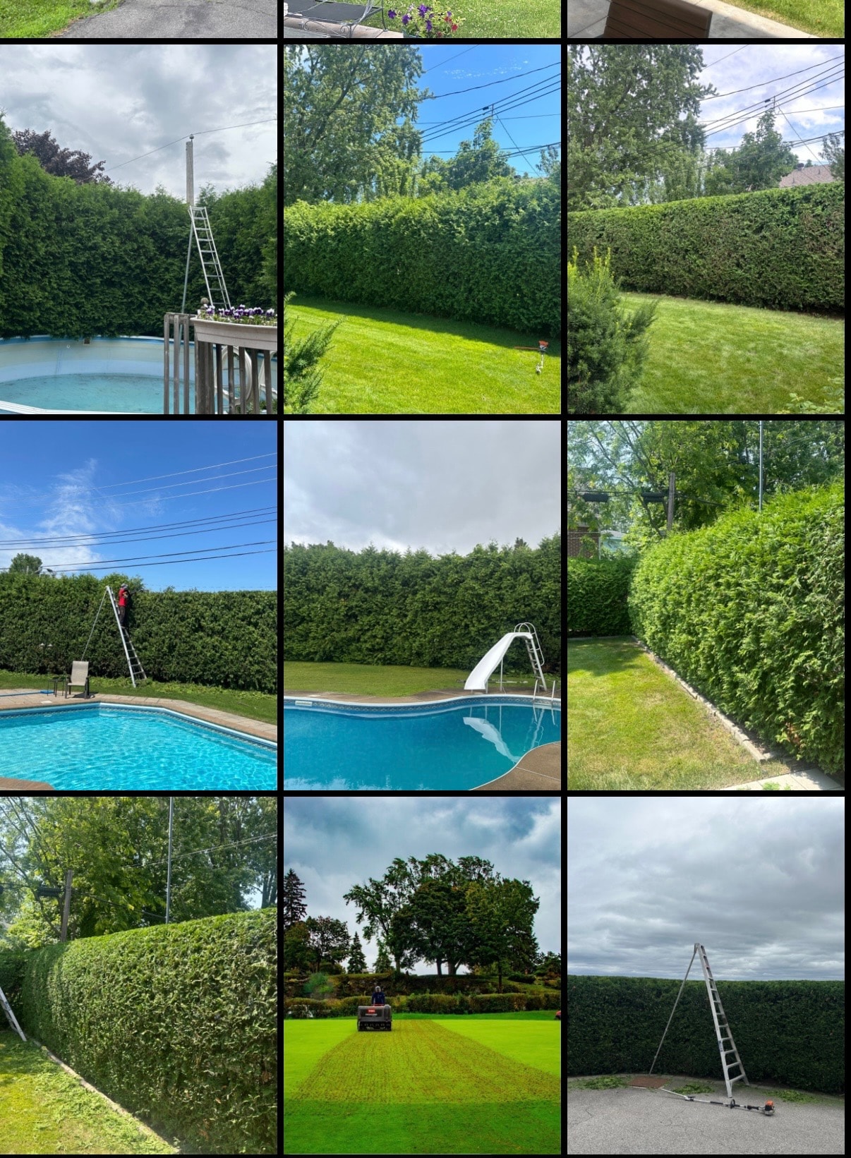 Clean hedge trim result by Orange 44